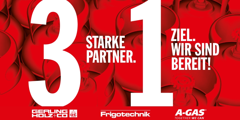 Effiziente Partnerschaften für den Phase-Down